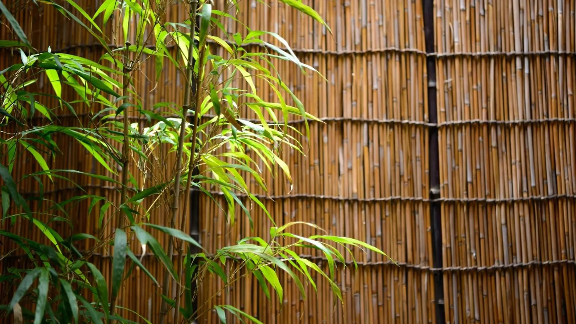 Shiki Homes | Aki - Vacation Stay 17910V Kyoto